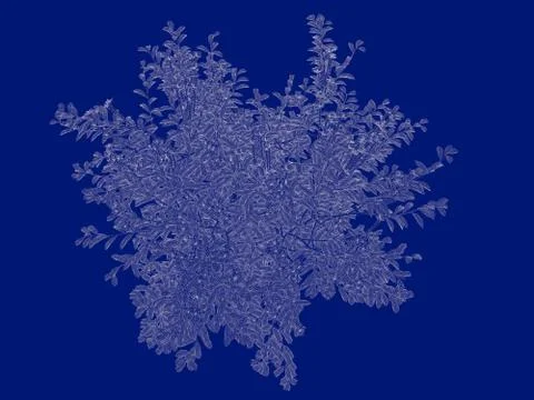 3d rendering of an outlined tree blueprint isolated on blue background イラスト素材