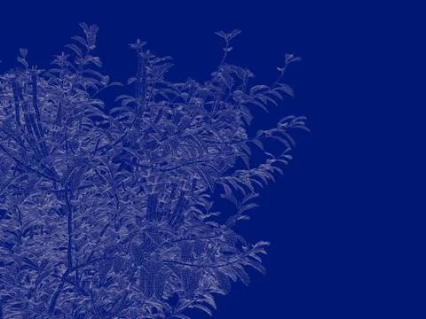 3d rendering of an outlined tree blueprint isolated on blue background Stock Illustration