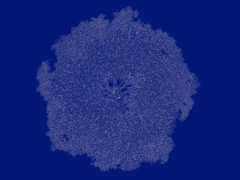 3d rendering of an outlined tree blueprint isolated on blue background イラスト素材
