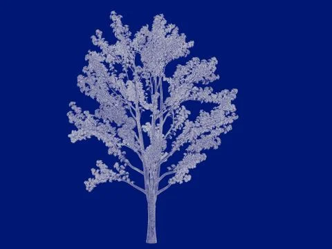 3d rendering of an outlined tree blueprint isolated on blue background Stock Illustration