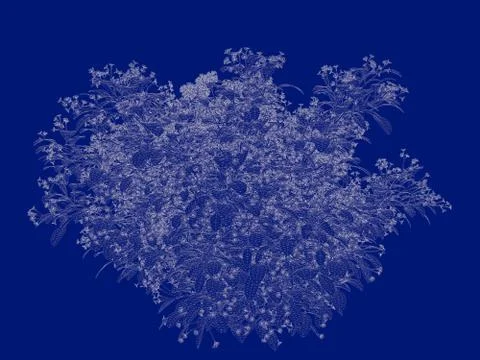 3d rendering of an outlined tree blueprint isolated on blue background Stock Illustration