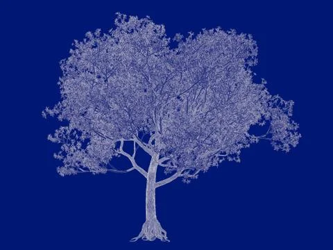 3d rendering of an outlined tree blueprint isolated on blue background Stock Illustration