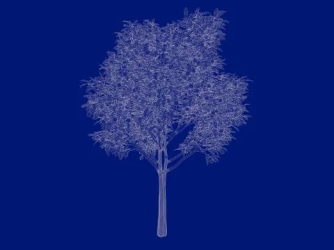 3d rendering of an outlined tree blueprint isolated on blue background Stock Illustration