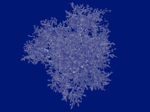 3d rendering of an outlined tree blueprint isolated on blue background イラスト素材