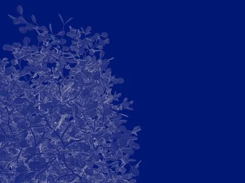 3d rendering of an outlined tree blueprint isolated on blue background Stock Illustration