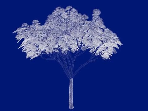 3d rendering of an outlined tree blueprint isolated on blue background Stock Illustration