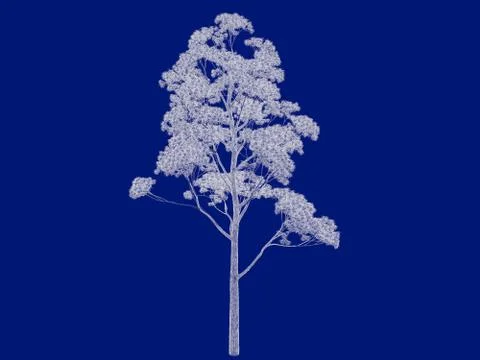 3d rendering of an outlined tree blueprint isolated on blue background Stock Illustration