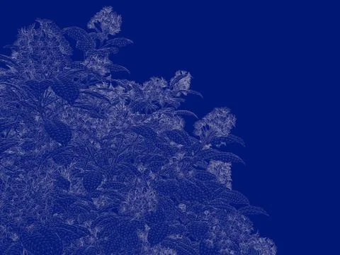 3d rendering of an outlined tree blueprint isolated on blue background イラスト素材