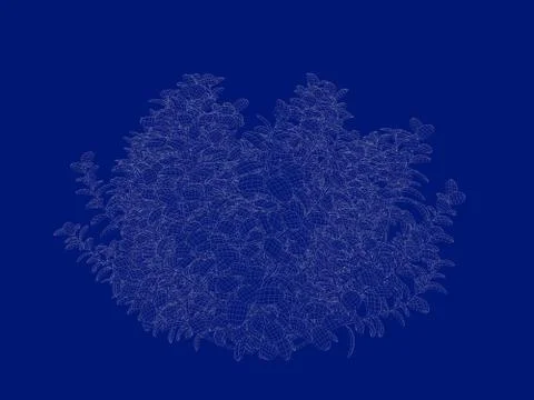 3d rendering of an outlined tree blueprint isolated on blue background Stock Illustration