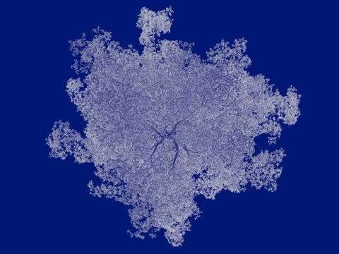 3d rendering of an outlined tree blueprint isolated on blue background Stock Illustration