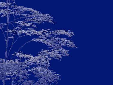 3d rendering of an outlined tree blueprint isolated on blue background イラスト素材