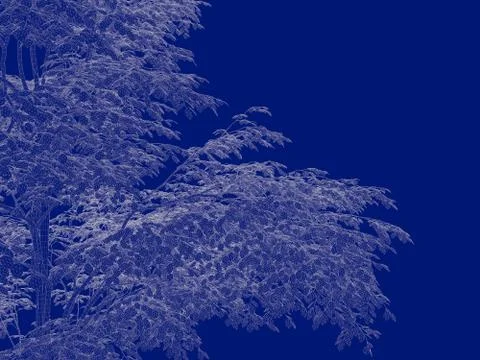 3d rendering of an outlined tree blueprint isolated on blue background イラスト素材