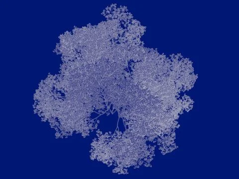 3d rendering of an outlined tree blueprint isolated on blue background イラスト素材