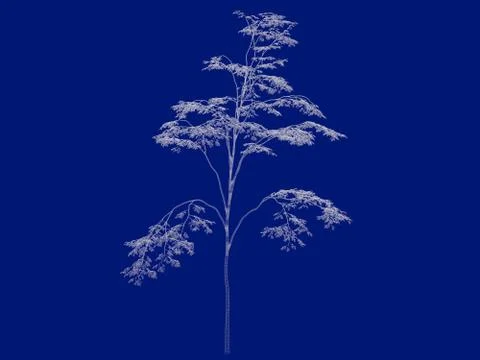 3d rendering of an outlined tree blueprint isolated on blue background Stock Illustration