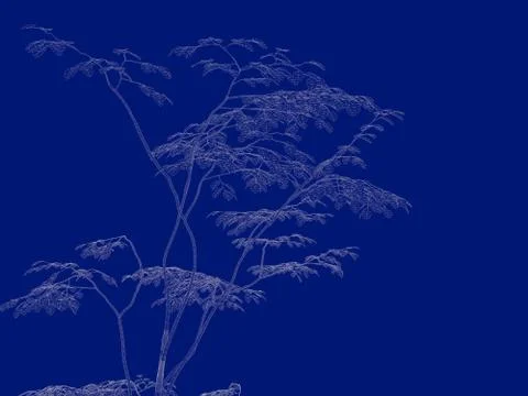 3d rendering of an outlined tree blueprint isolated on blue background Stock Illustration