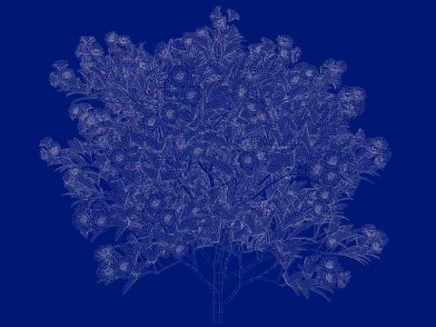 3d rendering of an outlined tree blueprint isolated on blue background Stock Illustration