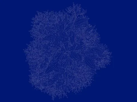 3d rendering of an outlined tree blueprint isolated on blue background イラスト素材