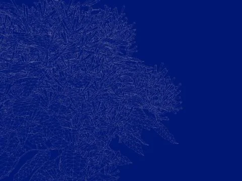 3d rendering of an outlined tree blueprint isolated on blue background Stock Illustration