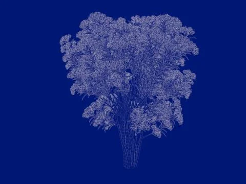 3d rendering of an outlined tree blueprint isolated on blue background Stock Illustration