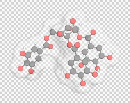 3D rendering of  over a transparent background. Stock Illustration