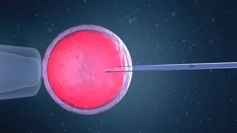 3d rendering ovum with needle for artificial insemination or in vitro fertilizat Stock Footage 313816837