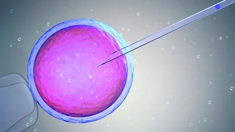 3d rendering ovum with needle for artificial insemination or in vitro fertilizat Stock Footage 313816839