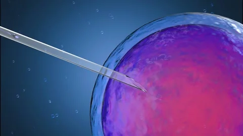 3d rendering ovum with needle for artificial insemination or in vitro fertilizat Stock Footage 313816841