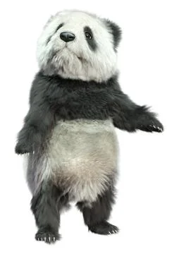 3D Rendering Panda Bear on White Illustrazione stock