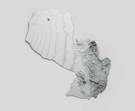 3d rendering of the Paraguay relief map isolated on gray background イラスト素材