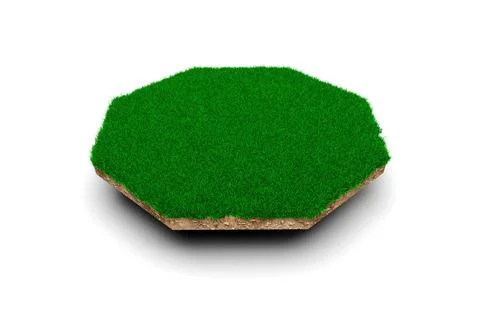 3d rendering of the patch of grass in the form of octagon isolated on white back Ilustración de archivo