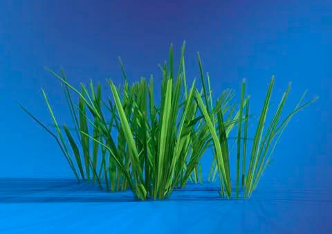 3D Rendering Patch of Grass Ilustración de archivo