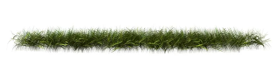 3D Rendering Patch of Grass on White Ilustración de archivo