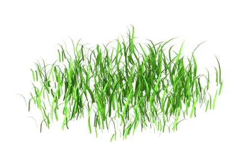 3D Rendering Patch of Grass on White Illustrazione stock