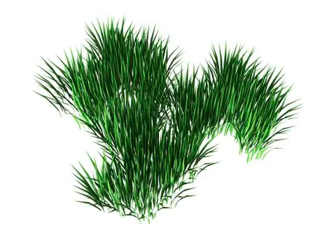 3D Rendering Patch of Grass on White Ilustración de archivo