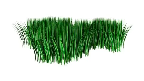 3D Rendering Patch of Grass on White Illustrazione stock