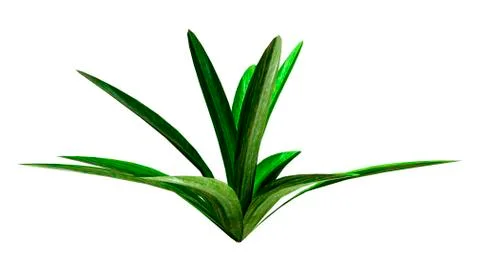 3D Rendering Patch of Grass on White Illustrazione stock