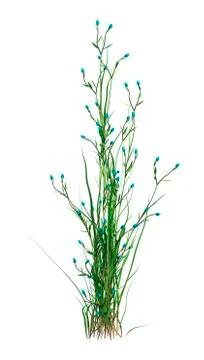 3D Rendering Patch of Grass on White Illustrazione stock