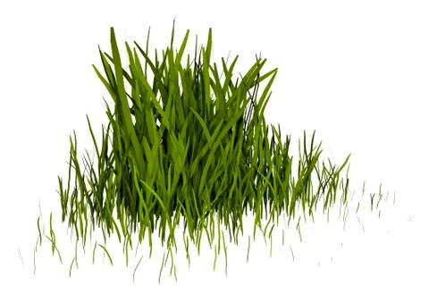 3D Rendering Patch of Grass on White Stock Illustration