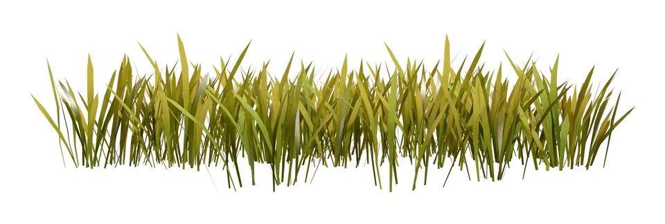 3D Rendering Patch of Grass on White Ilustración de archivo