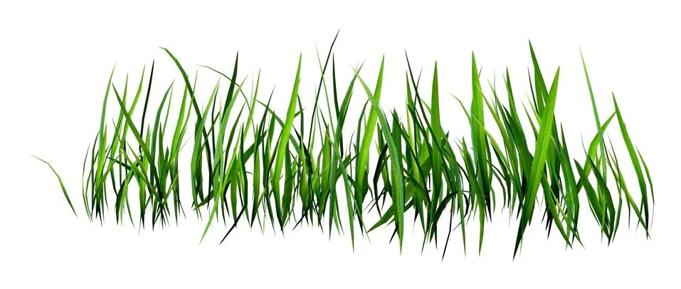 3D Rendering Patch of Grass on White Ilustración de archivo