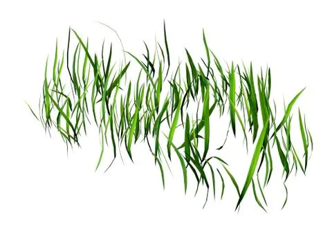 3D Rendering Patch of Grass on White Ilustración de archivo