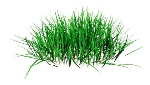 3D Rendering Patch of Grass on White Illustrazione stock