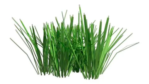 3D Rendering Patch of Grass on White Ilustración de archivo