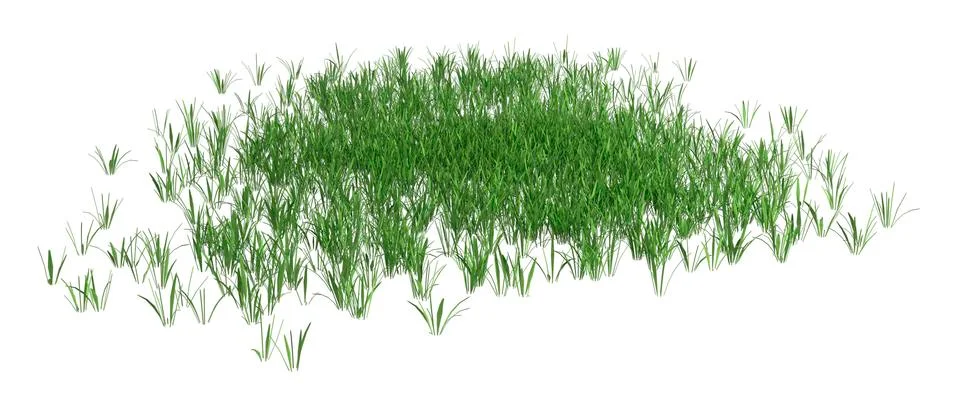 3D Rendering Patch of Grass on White Stock Illustration