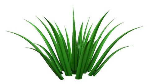 3D Rendering Patch of Grass on White Illustrazione stock