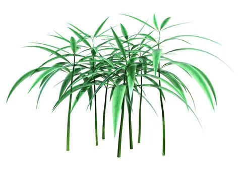 3D Rendering Patch of Grass on White Stock Illustration