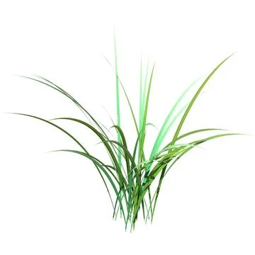 3D Rendering Patch of Grass on White Ilustración de archivo