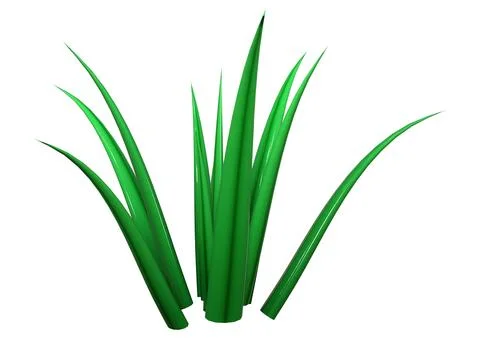 3D Rendering Patch of Grass on White Stock Illustration