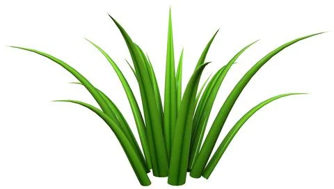 3D Rendering Patch of Grass on White Illustrazione stock