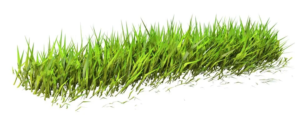 3D Rendering Patch of Grass on White Stock Illustration